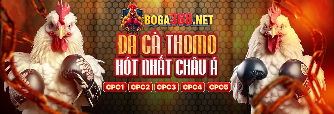 Hình ảnh chính trang đăng nhập VND789 Đá Gà