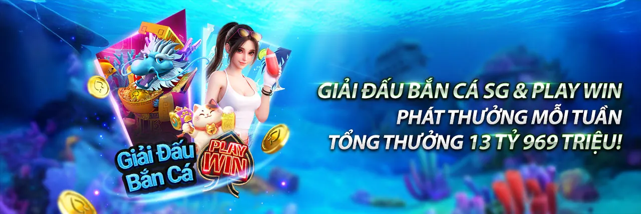 Hình ảnh chính về cá cược thể thao và đá gà tại vnd789